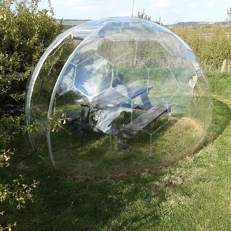 The Rainbow Pod Βίλα Milltown Malbay Εξωτερικό φωτογραφία